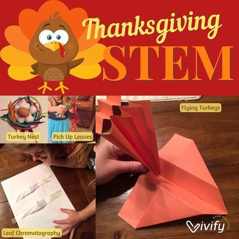 From designing turkey nests to designing a better way to pick up leaves, we have compiled a list of our favorite Thanksgiving and fall STEM activities to celebrate the season! Seasons Stem Activity, Fall Stem Challenges Elementary, Turkey Stem Activities, Thanksgiving Upper Elementary, Thanksgiving Stem Projects, Fall Stem Activities For Kids, November Stem Activities, Thanksgiving Activities Middle School, Egg Drop Challenge