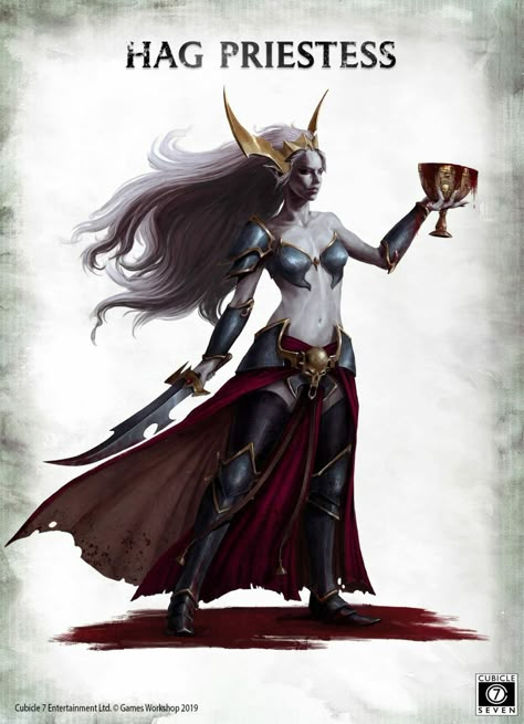 Hag Priestesses are plucked from the Witch Aelves by Morathi the Hag Sorceress of Ghrond. Elf Sorceress, Warhammer Dark Elves, Witch Elves, Dark Eldar, Warhammer Age Of Sigmar, Age Of Sigmar, Fantasy Battle, Warhammer Art, Warhammer 40k Artwork