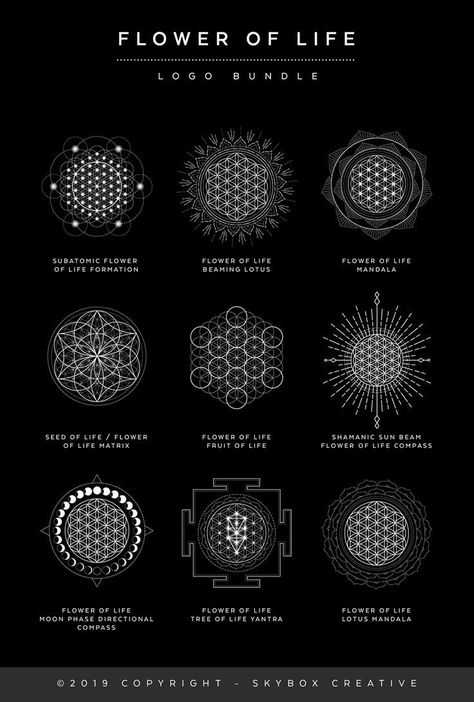 Sacred Geometry Meanings, Flower Of Life Tattoo, Names And Meanings, Glyph Tattoo, Flower Of Life Pattern, Sacred Geometry Patterns, The Flower Of Life, Sacred Geometry Symbols, Sacred Geometry Tattoo