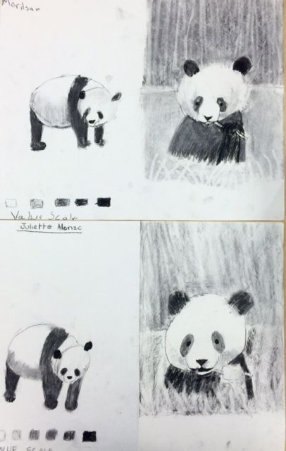 Panda Drawings- Charcoal Value Study - Art Teacher in LA Panda Drawings, Monotone Art, Koala Art, Realistic Animal Drawings, Panda Artwork, Panda Drawing, 8th Grade Art, Graphite Art, Kandinsky Art