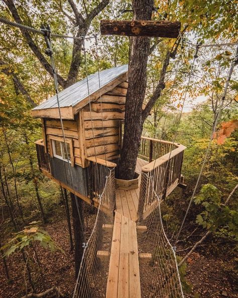 Log Tree House, Kentucky Homestead, Treehouse Inspiration, Tree House Interior, Treehouse Ideas, Simple Tree House, Backyard Fort, Cottage Backyard, Tree House Plans