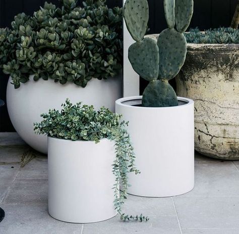 Click Here to know more about GANSK unique Solutions for Outdoor, with the same message: To Always Be Simple and Elegant 🤍 Plant Troughs, Plant Pot Design, Potted Plants Outdoor, Pool Landscape Design, Garden Plant Pots, Garden Life, Planter Pots Outdoor, Outdoor Pots, Jade Plants