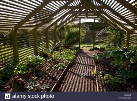 Wooden Slated Plant Shade House Garden, England Stock Photo, Royalty Free Image: 48332252 - Alamy Fernery Ideas, Lath House, Water Wall Fountain, Orchid House, Orchid Greenhouse, Shade House, Wooden Shades, Big River, Fire Pit Cover