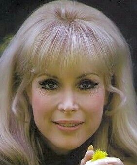 Barbara has Those Pretty Eyes Barbara Eden, I Dream Of Jeannie, Dream Of Jeannie, Actrices Hollywood, Famous Women, Famous Faces, Classic Beauty, Vintage Beauty, Hollywood Stars