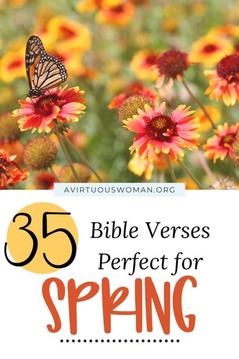 35 Inspiring Bible Verses, Perfect for Spring Verses About Flowers, Spring Bible Verses, Butterfly Symbolism, Inspiring Bible Verses, A Virtuous Woman, Proverbs 31 Women, Psalm 24, Beside Still Waters, Proverbs 31 Ministries