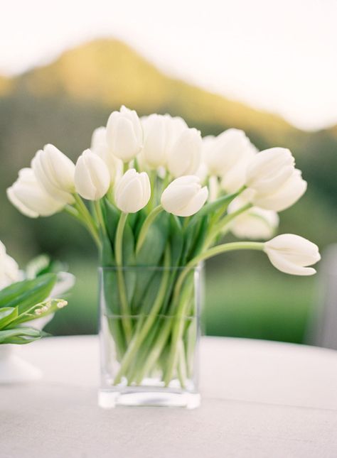 26 Lovely Petite Centerpiece Ideas Spring Wedding Centerpieces, Tulip Centerpiece, Tulip Wedding, Napa Valley Wedding, Spring Centerpiece, Simple Centerpieces, Tulips In Vase, White Tulips, Deco Floral