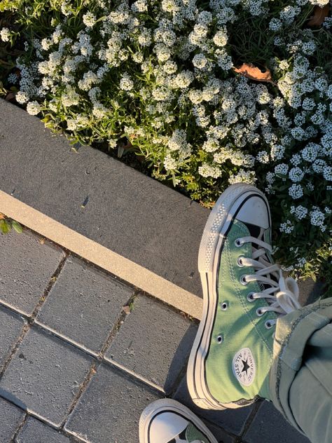 Aesthetic Green Converse, Aesthetic Green Shoes, Sage Green Converse Aesthetic, Green Sneakers Aesthetic, Green Style Aesthetic, Green Shoes Aesthetic, Green Core Aesthetic, Green Converse Aesthetic, Sage Green Shoes