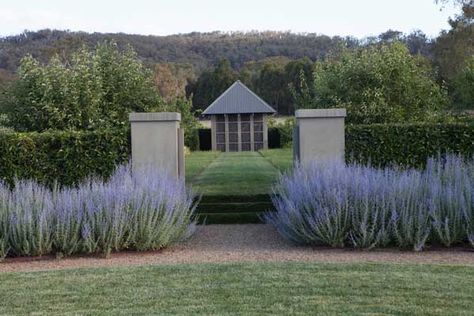 Russian Sage Hedge, Paul Bangay Gardens Country, Paul Bangay Gardens, Landscape Styles, Homestead Planning, Circular Lawn, Bradford Pear Tree, Hedge Garden, Creek Garden