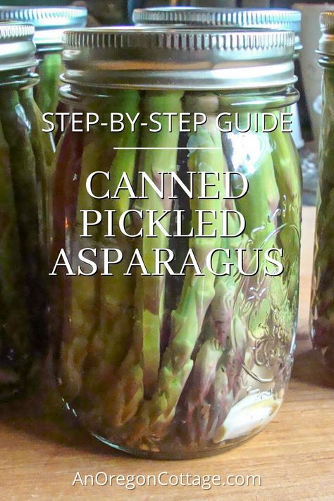 Pickled asparagus is wonderful in salads, appetizers, and for snacking. Pickle and can your own asparagus spears with this easy, step-by-step tutorial for pickled and water-bath canned asparagus. Canning Asparagus, Food Preparedness, Pickle Vodka, Pickled Asparagus, Canning Salt, Water Bath Canning, Pressure Canner, Home Canning, Asparagus Recipe