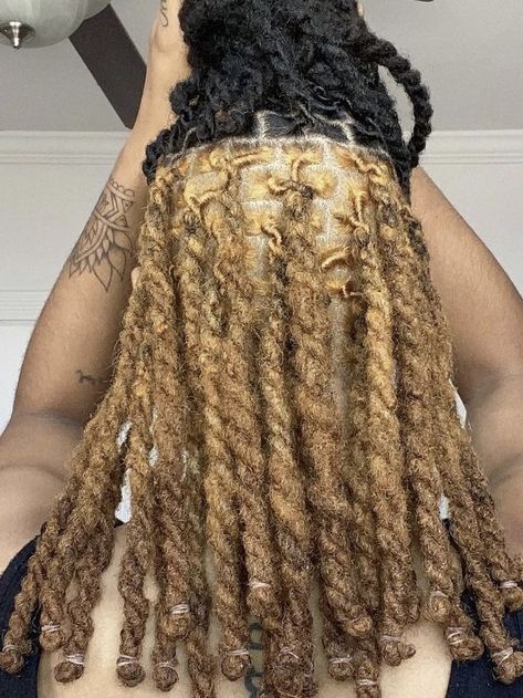 Dyed Dreads, Invisible Locs, Colored Dreads, Rosemary Oil For Hair Growth, Dread Hairstyles For Men, Target Hair Products, Rosemary Oil For Hair, Oil For Hair Growth, Dreadlock Hairstyles For Men