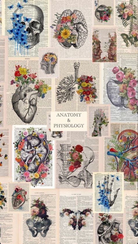 Psychology Wallpaper Desktop, Vintage Medical Art, Nursing Wallpaper, Psychology Wallpaper, Drawing Collage, Wallpaper Notebook, Medical Wallpaper, Wallpaper Computer, Medical Art