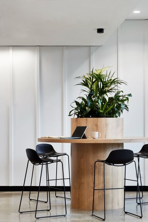 Medhealth Offices - Melbourne | Office Snapshots Public Office Space, Corporate Office Accent Wall Ideas, Welcome Area Office, Small Co Working Space Design, Work Lounge Office Break Room, Dark Accent Wall Office, We Work Office Design, Office Chill Out Area, Bar In Office