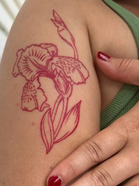 An iris tattoo done in red in on the outside of bicep Green Color Tattoo, Tattoo Inner Arm Women, Burgundy Tattoo, Flower Of Life Tattoo Women, Anthurium Tattoo, Sapphic Tattoo Ideas, Tattoo Placement Shoulder, Maroon Tattoo, Abstract Flower Tattoo