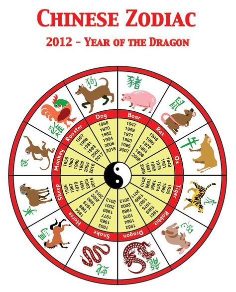 Chinese Zodiac: Find out which animal you are according to the Chinese Zodiac with this colourful chart. Chinese New Year Dinner, Year Of The Boar, Year 2 Classroom, Chinese Numerology, Year Of The Tiger 2022, New Year Dinner, Chinese New Year Zodiac, Early Years Ideas, New Year Symbols