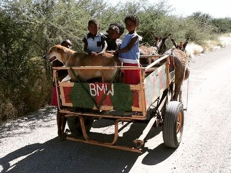 Donkey Cart, Art Knowledge, Africa Vintage, Western Car, Namibia Africa, Art Final, Pull Cart, African Market, Street Marketing