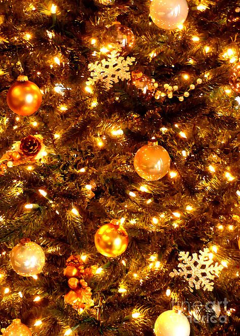 Glowing Golden Christmas Tree by Carol Groenen Yellow Christmas Aesthetic, Yellow Christmas Wallpaper, Orange Christmas Aesthetic, Gold Christmas Aesthetic, Golden Christmas Tree, Christmas Yellow, Christmas Aesthetics, Christmas Lights Wallpaper, Yellow Christmas