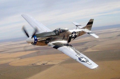 North American P-51 Mustang Mustang Airplane, 4k Wallpaper Android, Wwii Fighter Planes, P 51 Mustang, Wwii Airplane, Old Planes, Wwii Fighters, Wwii Plane, Air Fighter