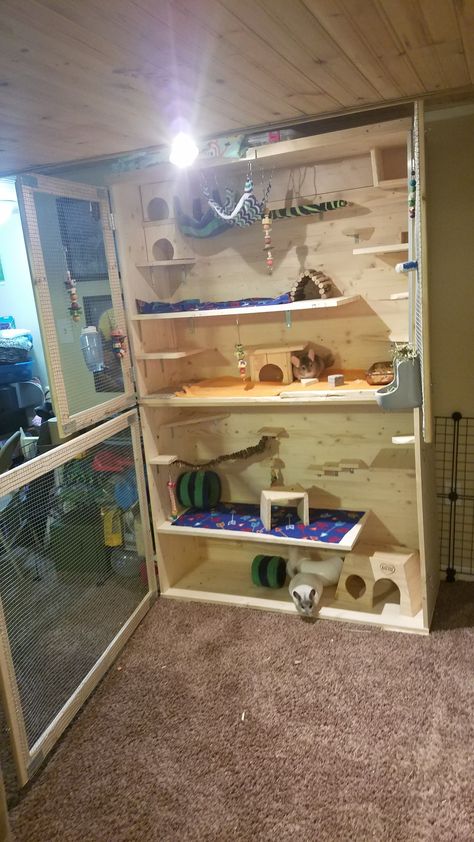 Chinchilla mansion! Designed and made by me!  Chinchilla cage Chinchillas Animal habitat Custom Chinchilla Cage, Homemade Chinchilla Cage, Chinchilla Cage Ideas Homemade, Diy Chinchilla Toys, Rat Cage Diy, Degu Cage, Chinchilla Care, Chinchilla Pet, Chinchilla Cage