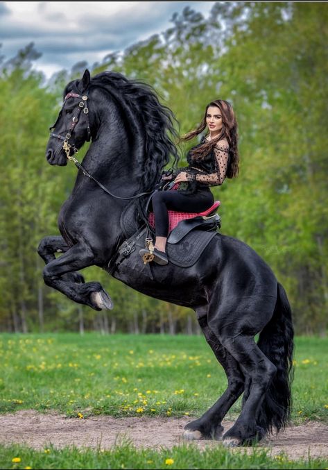 Horses Beautiful, Ducks And Geese, Woman Riding Horse, Horse Photography Poses, Beautiful Horse Pictures, Cowgirl Aesthetic, Horse Aesthetic, Most Beautiful Horses, Big Animals