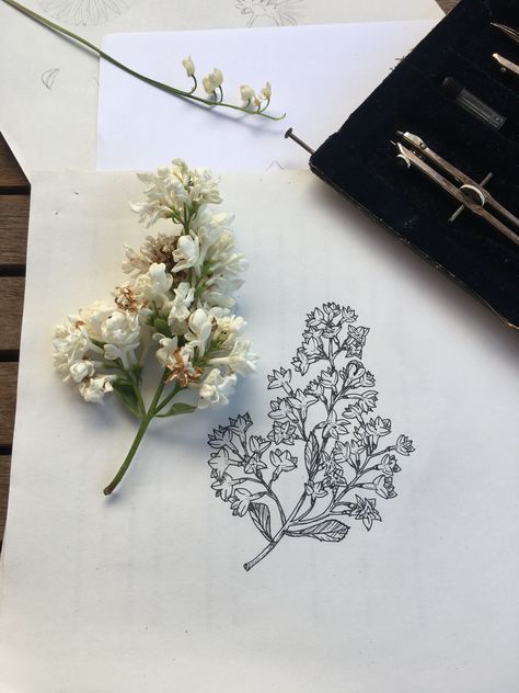 White Lilac Tattoo, Lilac Tattoo Design Black And White, Flower Bush Tattoo, Lilac Bush Tattoo, Small Lilac Tattoo Black And White, Lilac Tattoo Black And White, Lilac Drawing, Art School Inspiration, Flower Lilac