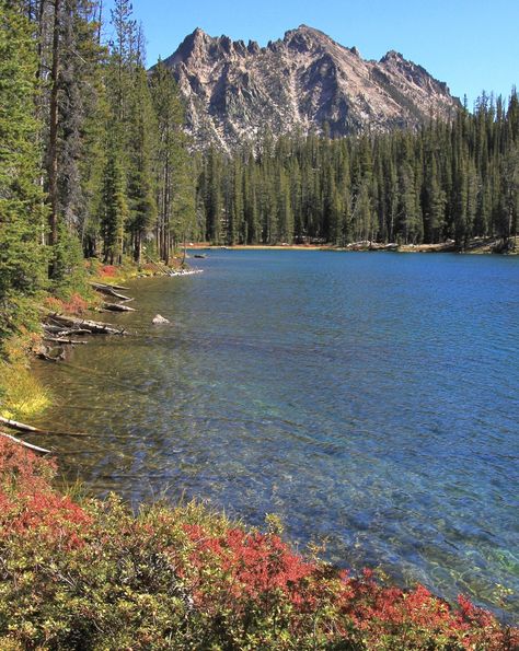 Idaho’s Sawtooth Wilderness Backpack Day 1: Redfish Lake to Alpine Lake – Evans Outdoor Adventures Idaho Scenery, Sawtooth Mountains Idaho, Bear Lake Idaho, Fish Lake National Forest Utah, Red Fish Lake Idaho, Salmon River, Forest Road, Alpine Lake, Camping Spots