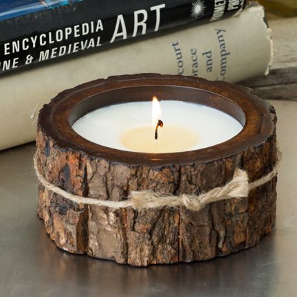 Tree Bark Pot Small Candle Making Business, Tree Candle, Mango Tree, Diy Candle Holders, Trendy Tree, Wooden Candles, Candle Tree, Wood Tree, Candles Crafts