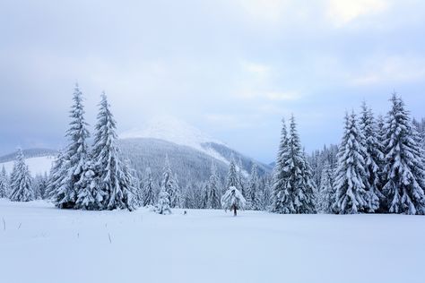 Far away in the high mountains covered with white snow stand few green trees in the magical snowflakes among fields on a beautiful winter New Year Day. #winter #landscape #mountain #Carpathian #snow #Christmas Mountain Background Landscape, Snowing Aesthetic Wallpaper, Inspirational Landscapes, Snow Field, New Year Day, Snow Background, Mountain Aesthetic, Snow Landscape, Snow Mountains