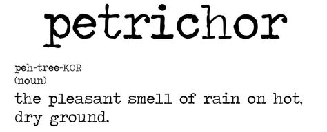 a relatively new word Stop The Rain, Smell Of Rain, I Love Rain, Street Musician, Grant Writing, When It Rains, Favorite Words, Byron Bay, Love Words