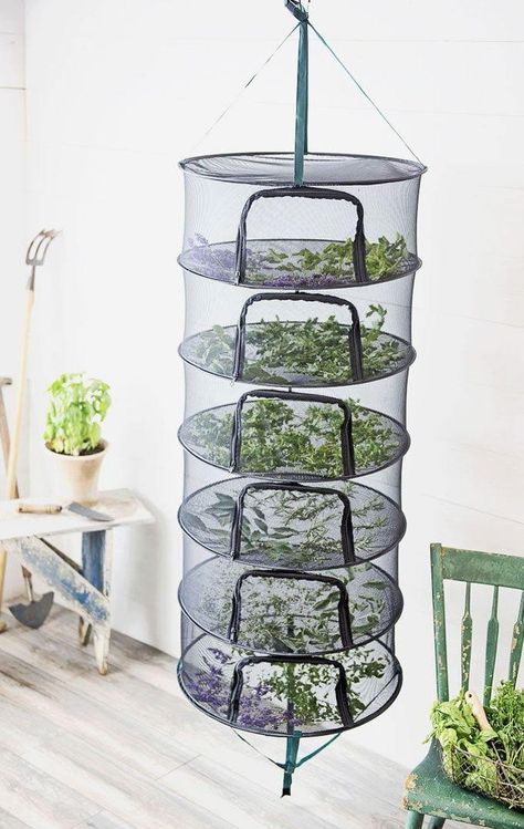 Indoor Herb Garden Ideas, Herb Drying, Food Dryer, Kitchen Hacks Food, Garden Hacks Diy, Tattoo Plant, Preserving Herbs, Herb Garden Ideas, Dry Herbs