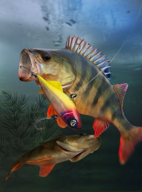 Bass Fishing Pictures, Fly Fishing Art, Perch Fishing, Fish Artwork, Marjolein Bastin, Fishing Pictures, Pike Fishing, Fish Crafts, Fish Wallpaper