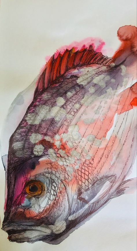 Fish Art Drawing, Sealife Art, Watercolour Fish, Fish Gcse Art, Fish Artwork, Art Alevel, Watercolor Fish, Fish Illustration, Fish Drawings