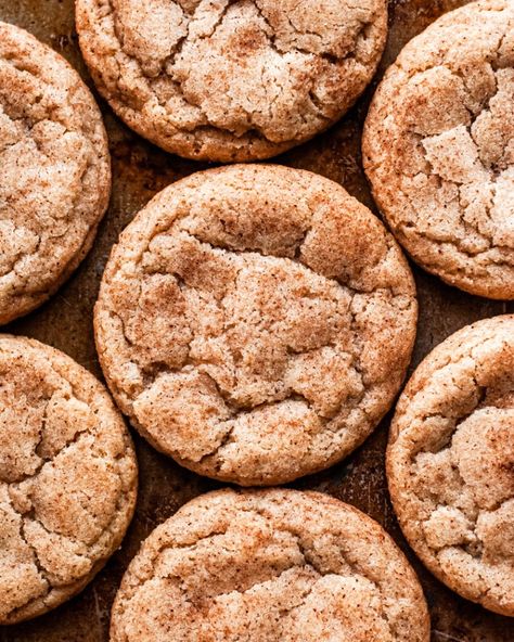 Sourdough Discard Cookies Healthy, Sourdough Discard Snickerdoodles, Sourdough Discard Snickerdoodle Cookies, Sourdough Discard Sweet Recipes, Sourdough Starter Desserts, Sourdough Discard Treats, Sourdough Discard Brownie Recipes, Sourdough Discard Cookies Recipe, Sourdough Snickerdoodle Cookies