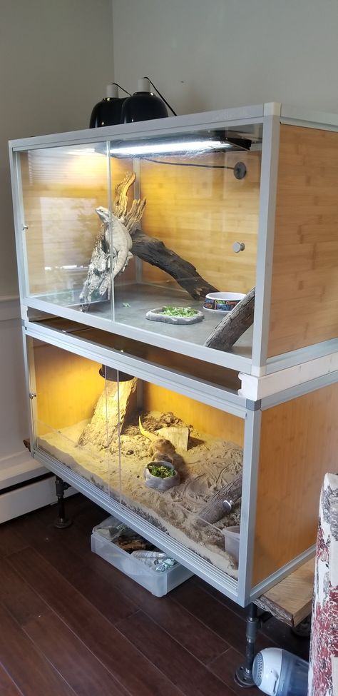 Zen Habitats stacked! Love, love, love! Stacked Reptile Enclosure, Zen Habitat Bearded Dragon, Zen Habitats, Zen Habitat, Animal Enclosures, Bohemian Chic Outfits, Snake Tank, Reptile Room, Reptile Terrarium