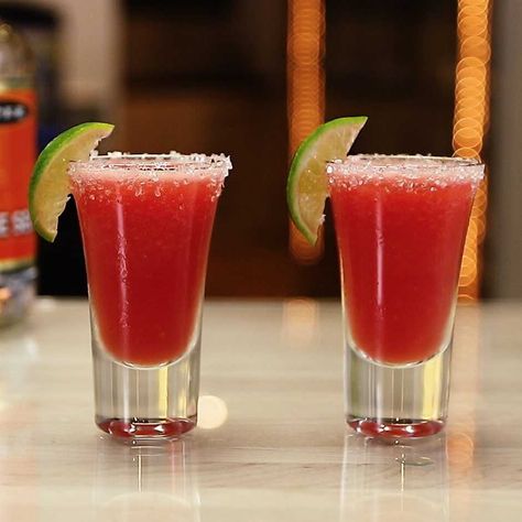 Check out this tasty cocktail recipe with tequila, light tequila, and white tequila. Similar to Day Of The Dead Watermelon Margarita. Margarita Shots, Watermelon Shots, Watermelon Cocktail Recipes, Watermelon Tequila, Citrus Cocktails, Cocktail Shots, Frozen Watermelon, Jello Shot, Watermelon Margarita