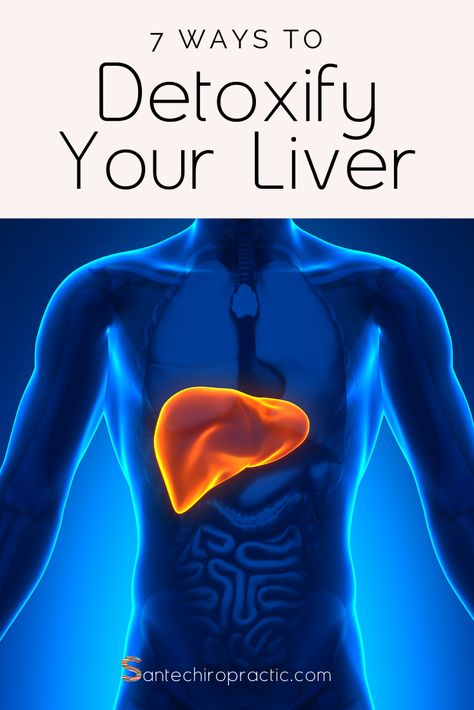 7 Simple tips to help detoxify and support a healthy liver function. Click for symptoms of liver toxicity and the best tips to improve your liver health. Water, cleanse and clean eating are a few of them. #detox #wellness #cleanse #wellbeing #health Lung Detox, Liver Detoxification, Nerve Pain Relief, Help Digestion, Liver Detox, Healthy Liver, Vitamins For Skin, Body Organs, Liver Health