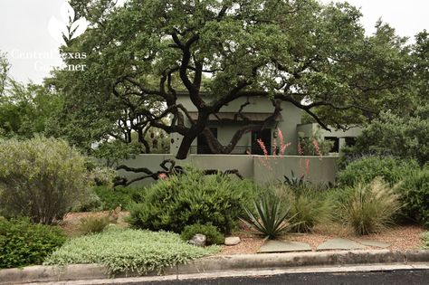 Style Up for Drought and Edible Landscapes | Central Texas Gardener Desert Landscaping Front Yard Arizona Native Plants, Central Texas Native Landscaping, Front Yard Prairie Landscaping, Garden Ideas Texas, Texas Ranch Landscaping Ideas, Texas Hill Country Landscaping Ideas, Austin Texas Landscaping Ideas, Texas Hill Country Landscaping, Front Yard Drought Tolerant