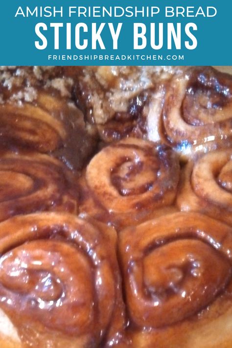 Amish Friendship Bread Starter Recipes Cinnamon Rolls, Amish Friendship Starter Cookies, Amish Friendship Bread Cinnamon Rolls, Recipes Using Amish Friendship Starter, Amish Sticky Buns Recipe, Amish Friendship Bread Recipes, Amish Friendship Bread Variations, Amish Bread Starter Recipes, Amish Bread Starter