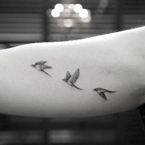 100+ Lovely Swallow Tattoos | Art and Design Swallow Hand Tattoo, Small Bird Tattoos, Tiny Bird Tattoos, Rose Tattoo Thigh, Vogel Tattoo, Omerta Tattoo, Flying Bird Tattoo, Girl Back Tattoos, Herz Tattoo