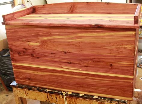 This cedar chest is made to where you can put a cushion on top. It is 100% cedar wood, no plywood. The chest measures 36" long by 16" wide by 18" tall. The seating area is approximately 34" long by 15" deep. The lid is about 1/2" larger than the chest. Storage Chests, Long Storage, Chest Storage, Cedar Oil, Cabin Furniture, Red Cedar Wood, Closet Drawers, Trunks And Chests, Storage Trunks