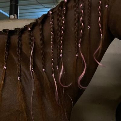 By Fate I Conquer, Horse Mane Braids, Horse Braiding, Horsey Life, Album Cover Wallpaper Collage, Equestrian Aesthetic, Horse Mane, Horse Inspiration, Im A Lady