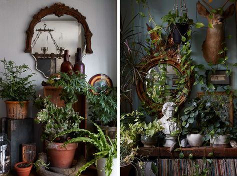 Plant House Aesthetic, Victorian Room, Brooklyn Home, Witchy Room, Plant House, Home Together, House Aesthetic, Casa Vintage, Victorian Decor