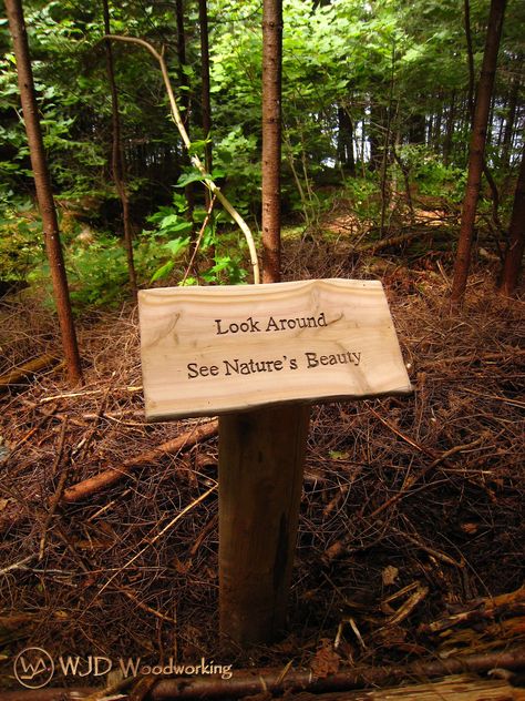 Custom Cedar Nature Trail Signs Trail Signs Diy, Nature Trail Ideas, Nature Trail Design, Nature Trail Signs, Trail Signage, Interpretive Signage, Park Signage, Outdoor Learning Spaces, Trail Signs