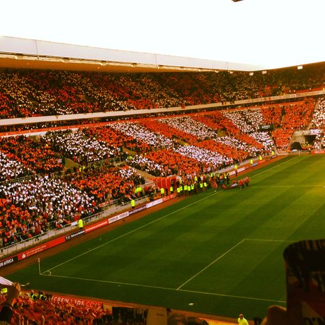 Sunderland afc tifo display Sunderland Afc Wallpaper, Sunderland Football, British Values, Football Aesthetic, Sunderland Afc, Premier League Football, Football Stadiums, Aston Villa, Football Wallpaper