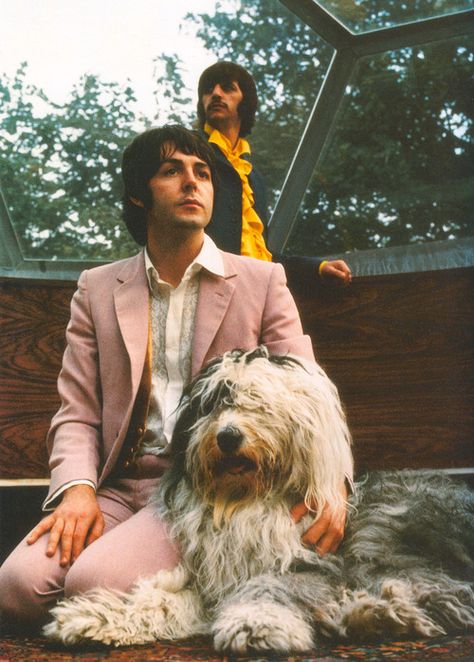 Paul, Ringo & "Martha my dear" Martha My Dear, Paul Mccartney Ringo Starr, Don Pedro, Beatles Photos, Beatles Pictures, Sir Paul, King Of Pop, English Sheepdog, Old English Sheepdog