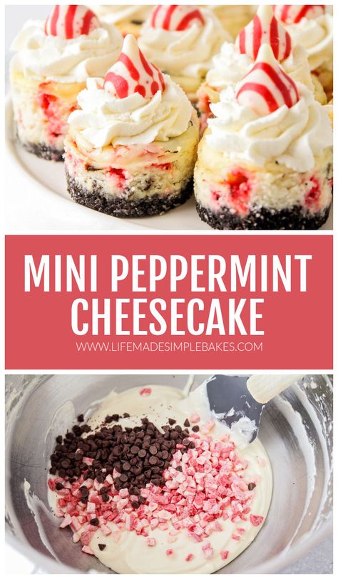 Peppermint Bark Mini Cheesecakes, Peppermint Brownie Cheesecake, Peppermint Mini Cheesecakes, Oreo Peppermint Cheesecake Bites, Peppermint Mocha Cheesecake, White Chocolate Peppermint Cupcakes, Peppermint Cheesecake Bites, Mini Desserts For Christmas, No Bake Oreo Peppermint Cheesecake Bites