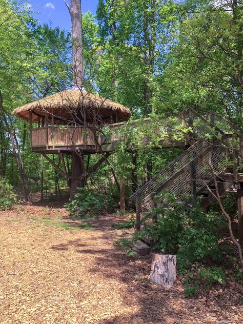 Tiki Treehouse, Beach Amenities, Octagon Table, Island House, Tree Houses, Wooden Bench, Walking Trails, Tree House, Maui