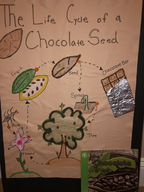 Let your students have a closer look, to see the life cycle of a chocolate seed! Also the book The Chocolate Tree is a cool way to introduce the lesson! Chocolate Projects For School, Chocolate Activities, Chocolate Touch, Chocolate School, Chocolate Fever, Science Center Preschool, International Chocolate Day, The Chocolate Touch, Chocolate Craft