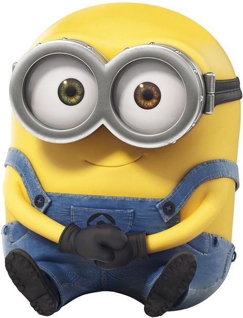 Imágenes de los minions con calidad mejorada Bob Minion, Minion Classroom, Minion Photos, Minion Stickers, Yellow Minion, Minions Images, Minion Characters, Minion Birthday Cake, Despicable Minions