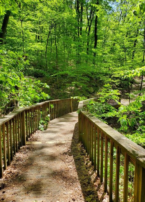 Lake Guntersville State Park also offers a variety of trails for anyone who enjoys hiking, including the <a href="https://www.alltrails.com/trail/us/alabama/cutchenmine-trail" target="_blank">Cutchenmine Trail</a>. Oak Mountain State Park Alabama, Summersville Lake Wv, Guntersville Alabama, Hikes Near Greenville Sc, Hiking Near Louisville Ky, Lake Guntersville Alabama, Recreational Activities, Sunset Cruise, Lake City