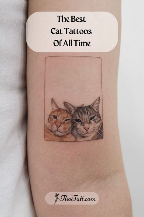 If you are an inevitable cat lover and you do not settle for this love and want to carry cats on your body as a tattoo, you should definitely look at the minimal cat tattoo models we have brought together for you. Small cat tattoos will inspire you if you want to get a cat tattoo on your body but can’t decide the which model. Here are The Best Cat Tattoos Of All Time by Youyeon from Seoul, South Korea. Cat Lovers Tattoo, Real Cat Tattoo, Small Two Cat Tattoo, Tattoos For My Cat, Tattoos For Cat Owners, Tattoos To Remember Your Cat, Tortie Cat Tattoo, Small Cat Tattoo Simple, Grey Cat Tattoo